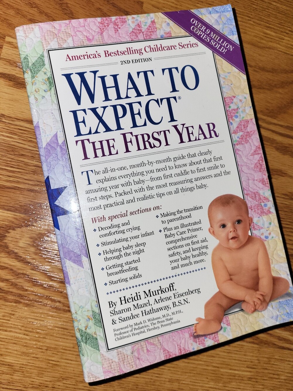 What to Expect The First Year -Baby Care Guide (Pink Cover) 2nd Ed Heidi Murkoff